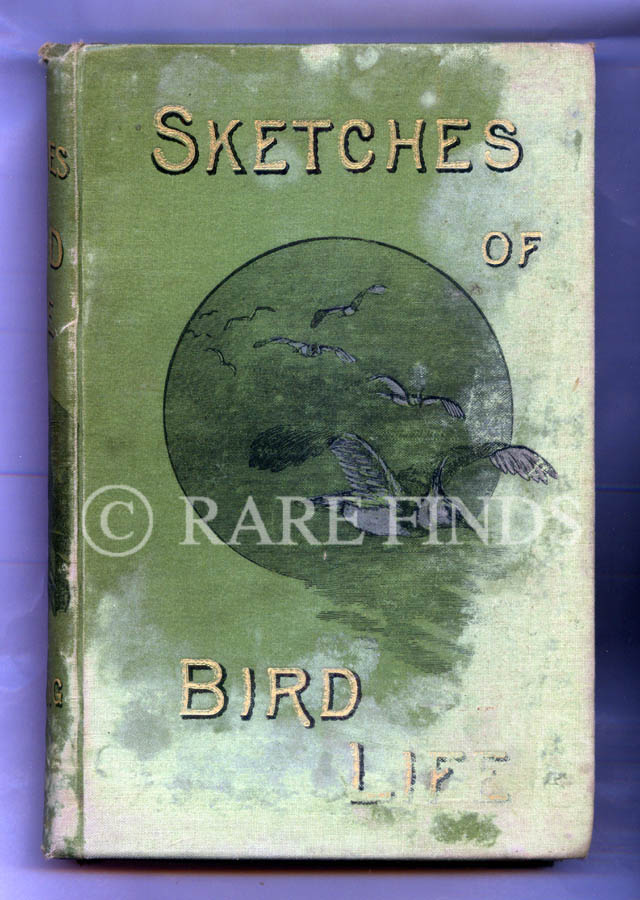 /data/Books/SKETCHES OF BIRD LIFE FROM TWENTY YEARS OBSERVATION OF THEIR HAUNTS AND HABITS.jpg